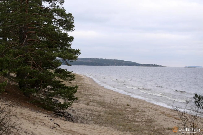 Эксперта из Югры впечатлила Карелия | Источник: Ксения Потеева / FONTANKA.RU