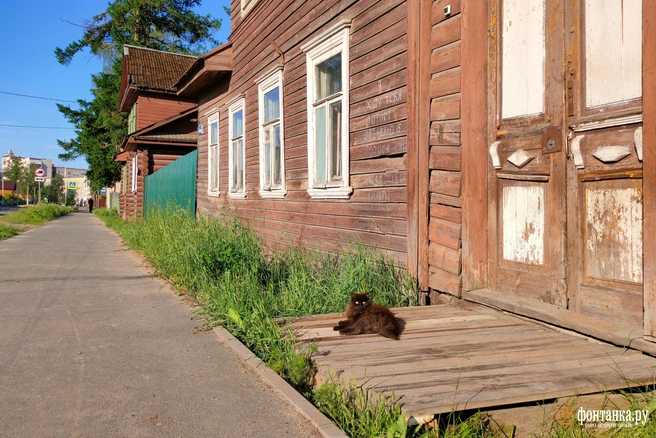 Источник: Михаил Огнев / «Фонтанка.ру»