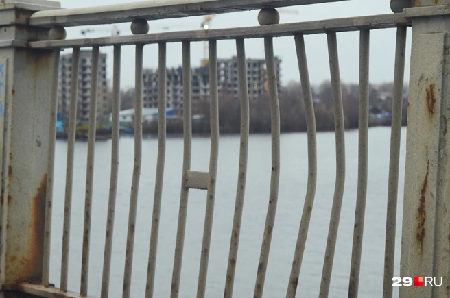 Источник: Антон Данилов / 29.RU