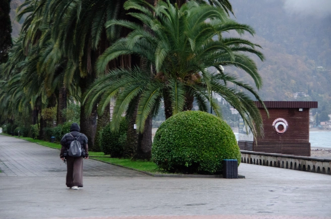 С буйной растительностью работают озеленители. Вот такой шар у них получился | Источник: Оксана Витяpь / SOCHI1.RU