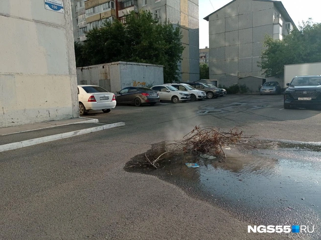Горячая вода сочится из-под асфальта | Источник: Сергей Энквист / NGS55.RU