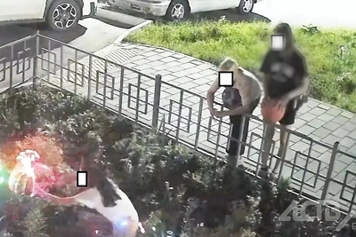 В Холмске трижды украли садовые фонари с клумбы