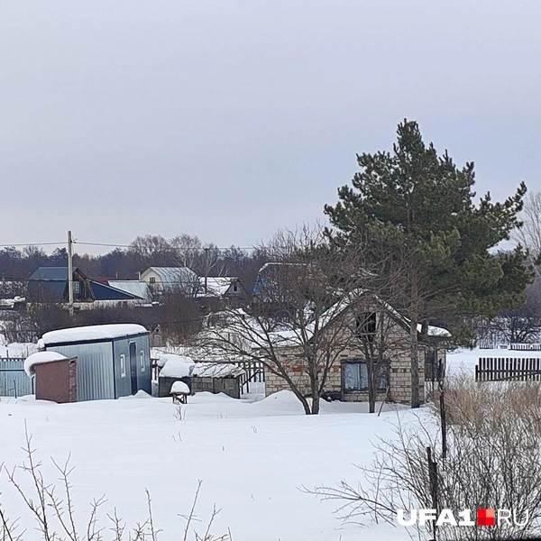 Домик размером чуть больше бытовки | Источник: Марина Каримова / UFA1.RU