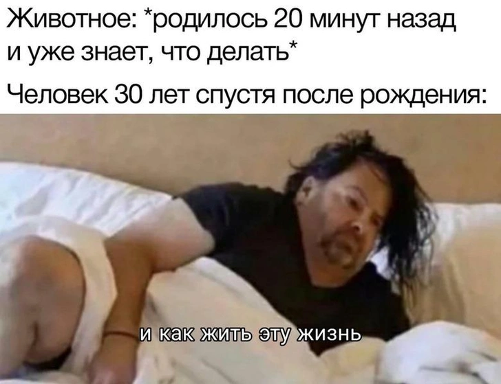 10 мемов, которые начинаешь отлично понимать только после 30 лет | Источник: Соцсети
