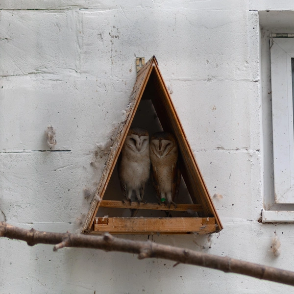 Источник: Alekseev_Andrey/89040719621