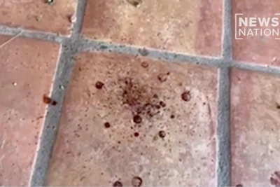 Нэнси Гатри истекала кровью во время похищения, заявляет эксперт