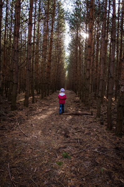 Без еды и воды: как 5-летняя Зарина, заблудившаяся в лесу, пыталась найти путь домой три дня и три ночи
