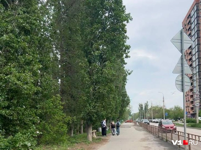 После замечания прохожей подростки бросились в рассыпную | Источник: читатели V1.RU