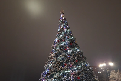 Прогноз погоды в Ижевске на новогоднюю ночь