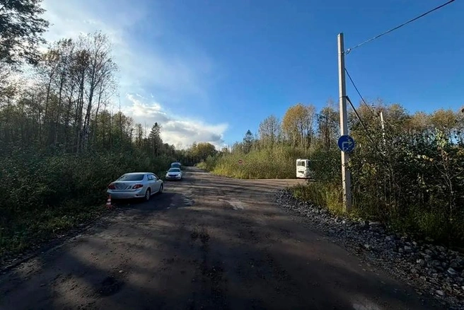 Источник: st.cherinfo.ru