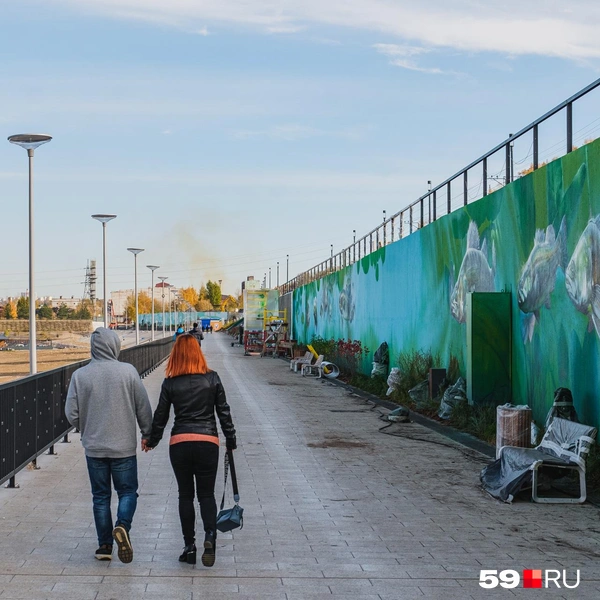На стене появились изображения рыб и подводных растений | Источник: Тимофей Калмаков / 59.RU