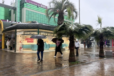 В Сочи ожидаются сильные дожди, в горах — снегопад
