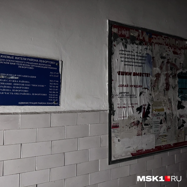 Источник: Алина Мельникова / MSK1.RU