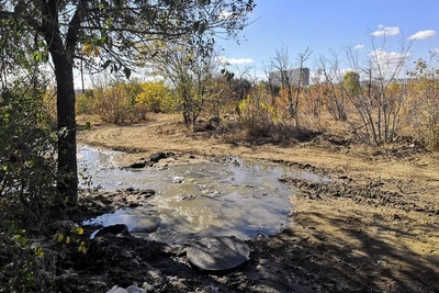 Концессиям грозит штраф 11 млн за затопление дендрария