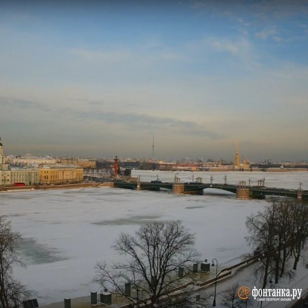 Источник: скриншот видовой камеры «Фонтанки»
