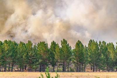 Кузбасс выделит 40 млн рублей на полеты для поиска лесных пожаров