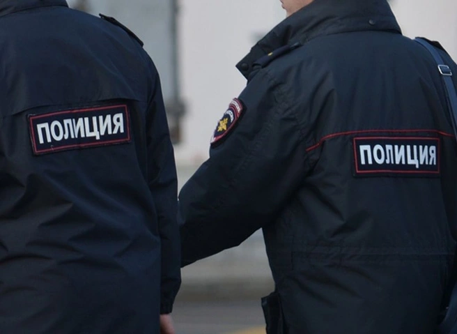 Рязанские полицейские раскрыли уличное ограбление | ya62.ru