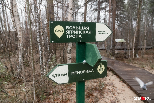 Источник: Иван Митюшёв / 29.RU