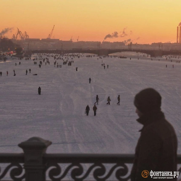 Источник: Михаил Огнев / «Фонтанка.ру»