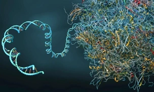 Исправить генетическую «бессмыслицу»: ученые придумали универсальный инструмент для редактирования ДНК