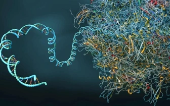 Исправить генетическую «бессмыслицу»: ученые придумали универсальный инструмент для редактирования ДНК