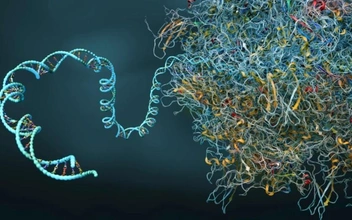 Исправить генетическую «бессмыслицу»: ученые придумали универсальный инструмент для редактирования ДНК
