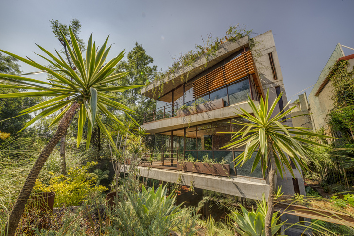 Все в сад: дом с зелеными террасами и крышей в Мехико