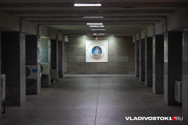 Источник: Елена Буйвол / VLADIVOSTOK1.RU