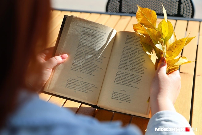 Почитать книгу | Источник: Наталья Зайцева / MGORSK.RU