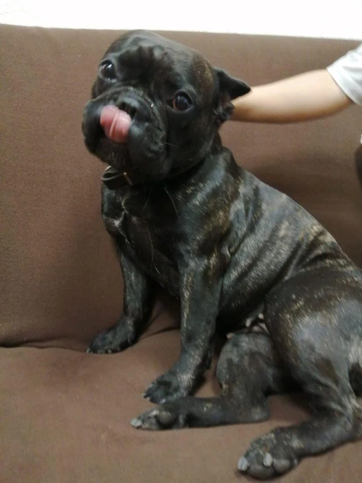 Обращаться по телефону +7 961 710-02-31, Елена (WhatsApp) | Источник: www.city-n.ru