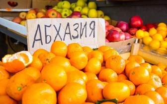 Наесться хватит. Сколько мандаринов можно вывезти из Абхазии без пошлины?