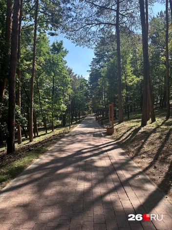 Оздоровительная аллея | Источник: Екатерина