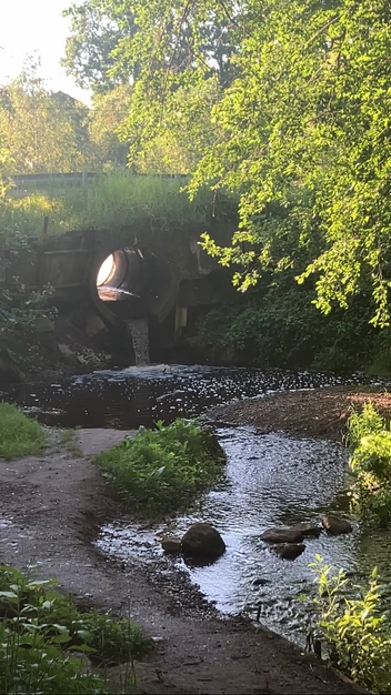 Ламповский родничок | Источник: Маша Захарова 