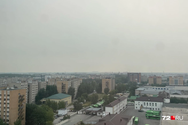 На неприятный запах горожане обратили внимание в минувшие выходные | Источник: Дарья Макеева / 72.RU