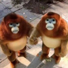 userpic__Есения🦍
