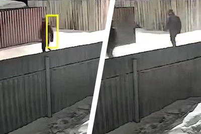 Четверо мужчин пытались взломать дом в Криводановке