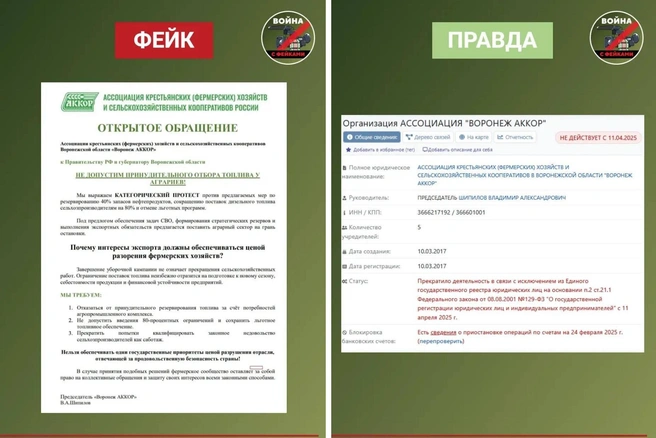 Источник: Телеграм-канал «Война с фейками. Воронежская область» / T.me