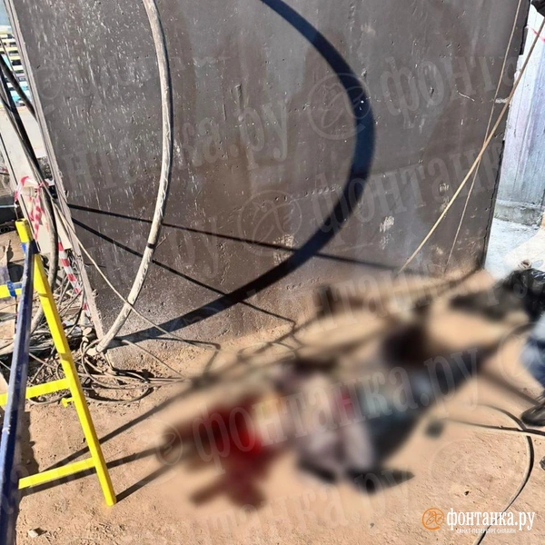 Источник: читатель «Фонтанки»