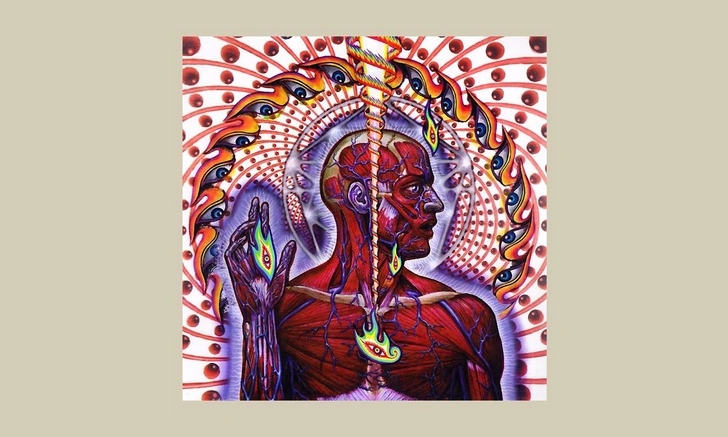 Источник: обложка альбома Tool «Lateralus» (2001)