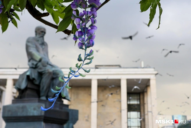 Федор Михайлович Достоевский любуется на глицинии… | Источник: Артем Устюжанин / MSK1.RU