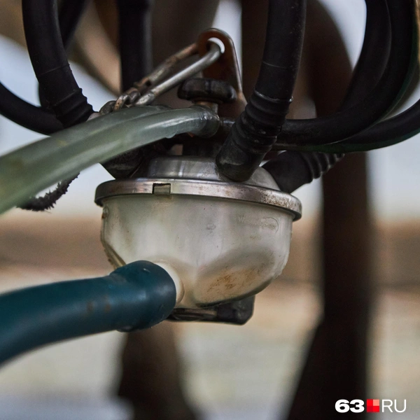 Источник: Роман Данилкин / 63.RU