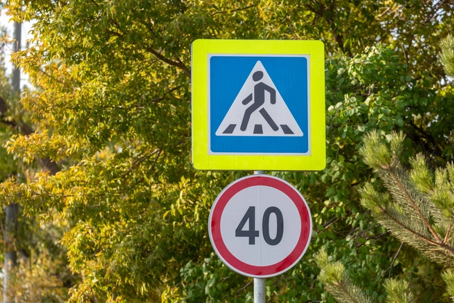 Нештрафуемый порог, к слову, тоже считается нарушением | Источник: Константин Завриков / V1.RU