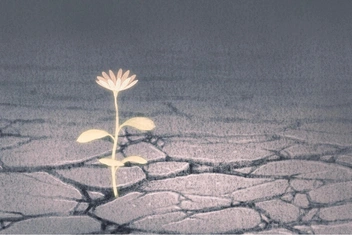 Тест-гадание: Выберите строчку из книги и узнайте, что поможет вам обрести внутреннюю опору