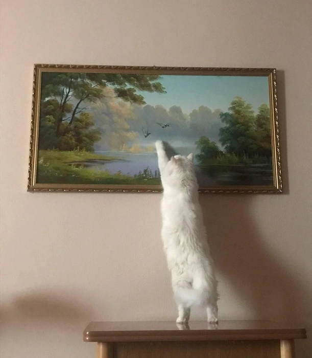 Поддерживаю вас, коллега, все пернатые должны быть пойманы!  | Источник: читатель 63.RU 