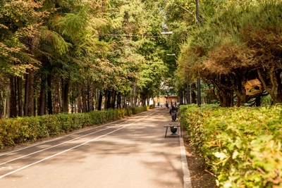 Пешеходный бульвар с велодорожками и скейтпарком в Байкальске