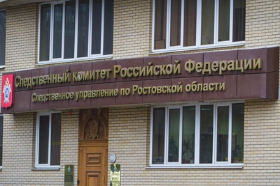 Criminal case initiated over schoolgirl beating near Rostov