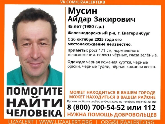 Источник: поисковый отряд «ЛизаАлерт»