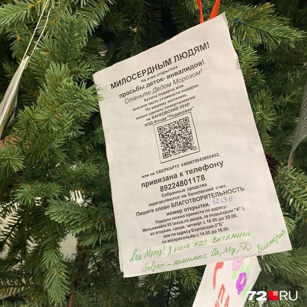 Источник: Никита Кифорук / 72.RU