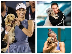 Теннисистки берут своих питомцев на US Open — 37 фото, которые растопят любое сердце