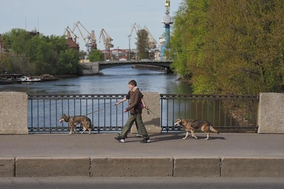 Прогноз погоды в Петербурге на неделю